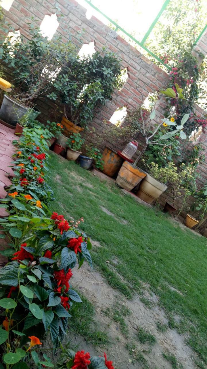 Coral Country Homestay Agra  Exteriör bild